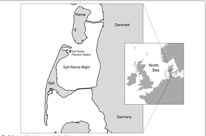 Fig. 1  Position of the studied area in the North Sea