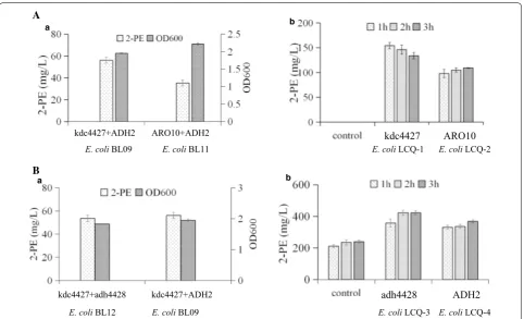 Fig. 4 Characterization of Kdc4427 and Adh4428. A Characterization of Kdc4427 and comparison with corresponding ARO10