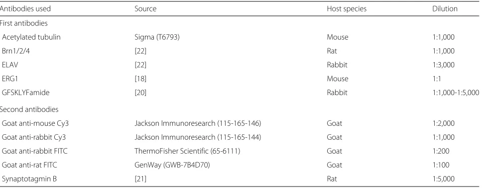 Table 1 Antibodies used in this study