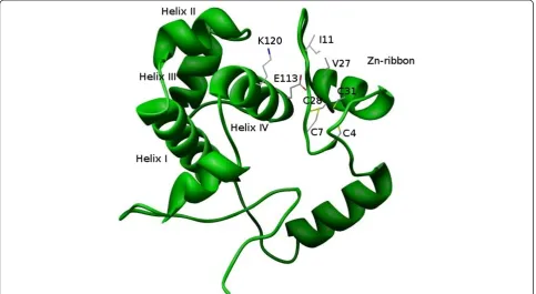 Table 1 Evaluation of the constructed three-dimensional model of archaeal MBF1 from Thermoproteus tenax (TMBF1)