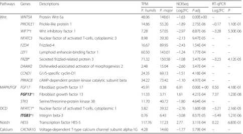 Table 1 Descriptions and expression patterns of 17 differentially expressed genes that probably correlate with beak morphology