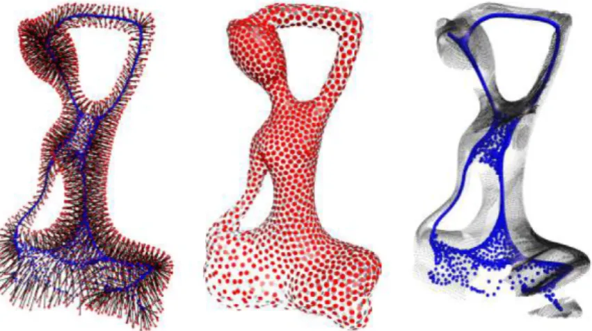 Figure 3.1: The deep points representation (left) is a set of line sec- sec-tions, each with one end (red) on the surface (middle) and the other (blue) on the meso-skeleton (right).