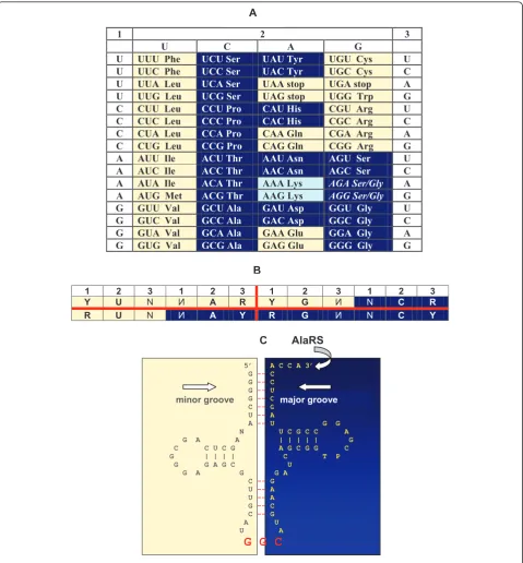 Figure 1 The genetic code (adopted fromrecognition by aaRSs - from the minor and major groove sides of the acceptor stem, respectively [21,22]