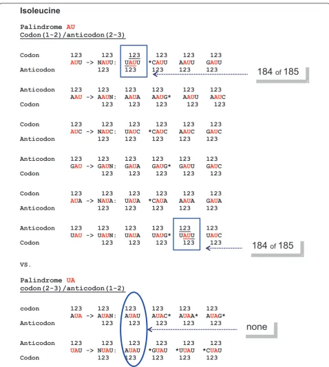 Figure 3 All conceivable tetraplets which are supposed to occur in Ile-binding sites if one of its coding triplets, either AUU, AUC, AUA(Ile codons) or AAU, GAU, UAU (Ile anticodons) is already there
