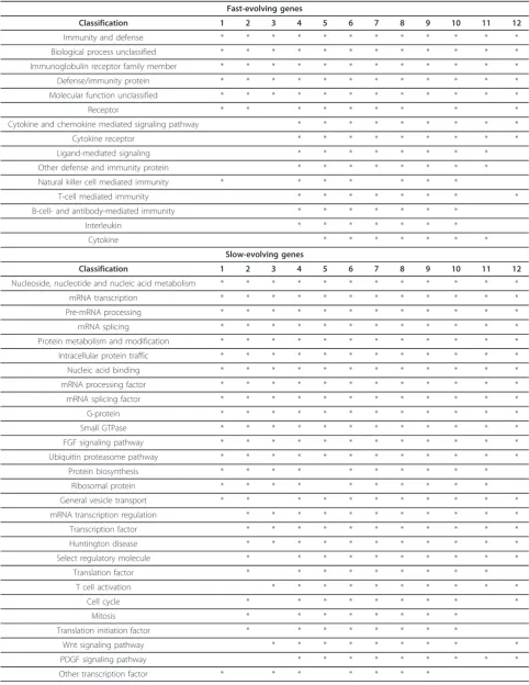 Table 1 Selected common functional categories of fast-evolving genes and/or slow-evolving genes among mammaliangenomes and lineages