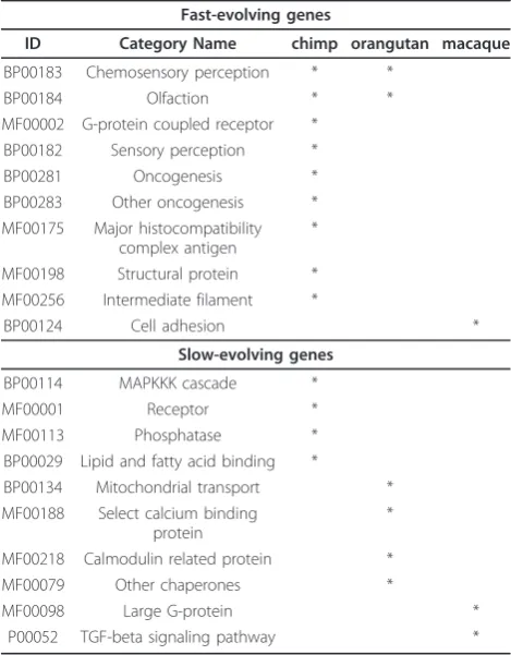 Table 2 Functional enrichment of fast-evolving and slow-evolving genes in primates