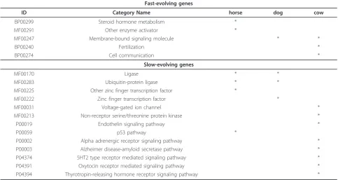 Table 3 Functional enrichment of fast-evolving and slow-evolving genes in large mammals