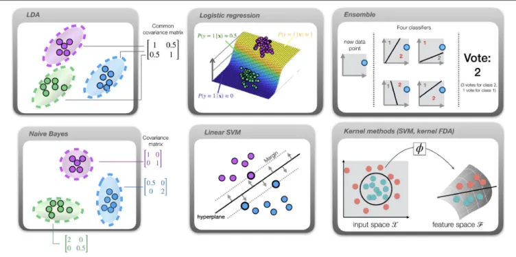 FIGURE 2 | Overview of the available classifiers. Dots represent samples, color indicates the class