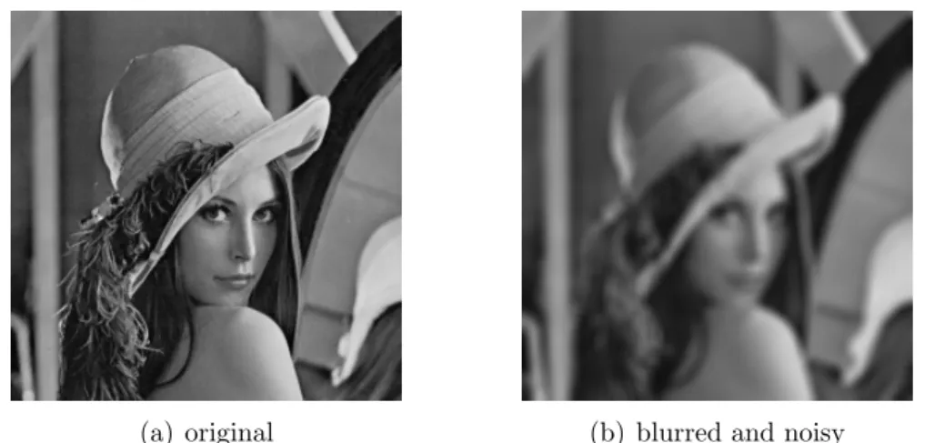 Figure 5.1: The Lena test image.