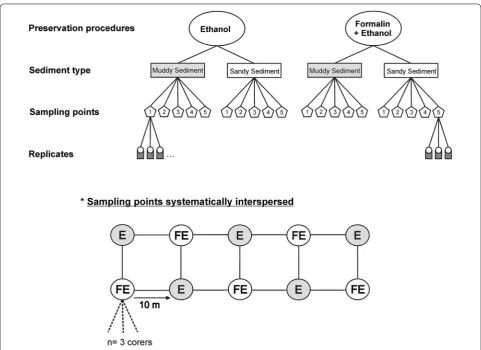 Fig. 1 Schematic overview of the systematic interspersed sampling design applied in both sites