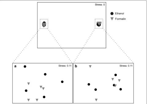 Table 3 Precision, mean washing time, and costs of the preservation procedures analyzed