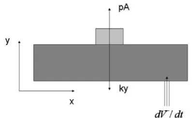 Figure 2: A rectangular model of the lung tumor system   
