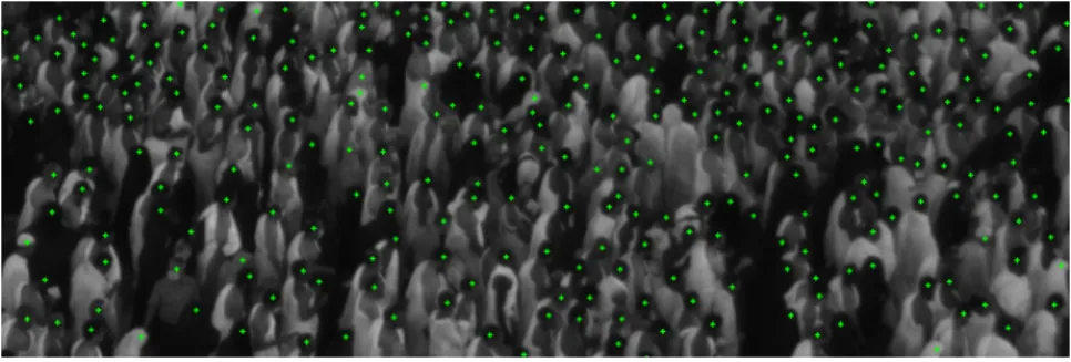 Figure 4. Patch with ground-truth dotted annotation.
