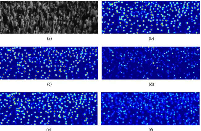 Figure 6. Output maps on a testing image patch with the deep learning solutions trained on the same amount of limited data, as well as model’s predictive uncertainty outputs through traditional standard deviation and proposed evidential ignorance