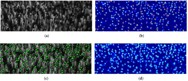Figure 9 provides visual results obtained testing the proposed evidential MCS on a given image patch, in terms of BetP ( H ) output map, detection map at the threshold corresponding to the PRBEP, and the final ignorance map of the system