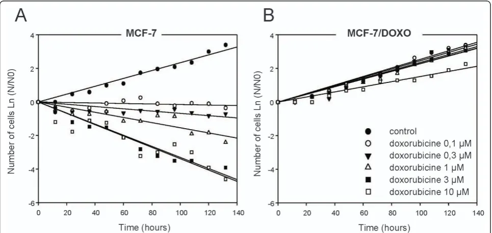 Figure 1 Proliferation and resistance of MCF-7 variants in culturecounted every 12 hours in a Malassez chamber