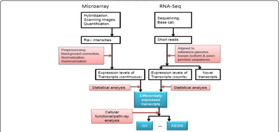 Figure 1 The analysis workflows of microarray and RNA-Seq data.