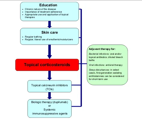 Fig. 3 A simplified, stepwise algorithm for the treatment of AD