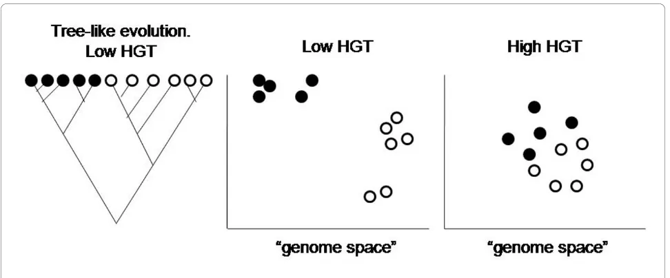 Figure 4 Clustering individuals according to similarity of genomes.