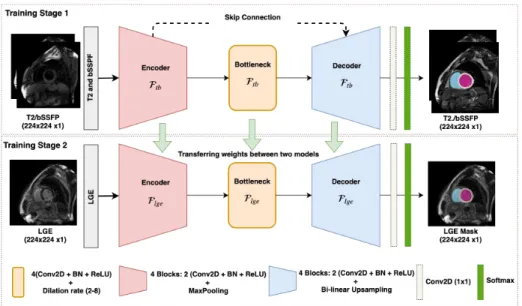 Fig. 2. Overview of our network architecture for feature transfer learning between different CMR sequences