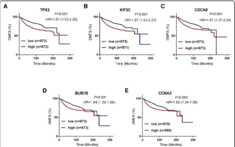 Fig. 7 Prognostic value of the five hub genes in breast cancer patients based on KM Plotter