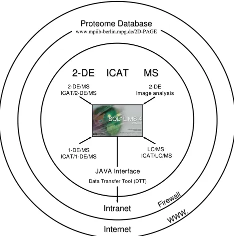 Figure 1Concept of proteomics data assemblingConcept of proteomics data assembling. Data of the proteomics workflow such as 2-DE/MS coupled with image analysis, ICAT/2-DE/MS, ICAT/1-DE/MS, LC/MS, and ICAT/LC/MS was stored in SQL*LIMS™