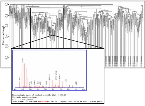Figure 4Post-processing: Clustering of polymer contaminantsPost-processing: Clustering of polymer contaminants