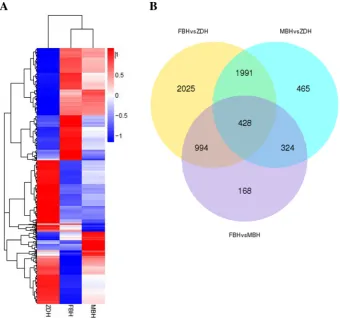Table 2 Summary Dataset of Transcriptome Assembly