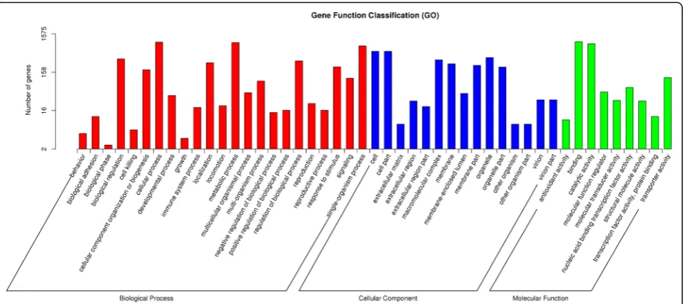 Fig. 3 GO classification of DEGs. The red indicates biological processes, the blue indicates cellular components, and the green indicatesmolecular functions