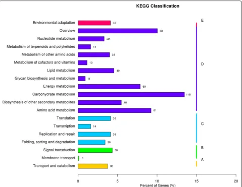 Fig. 4 KEGG pathway classification of DEGs. a cellular processes; b environmental information processes; c generic information processes; dmetabolism; e organismal systems