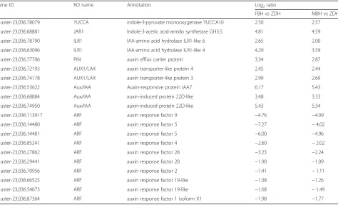 Table 4 DEGs Related to Flower Development