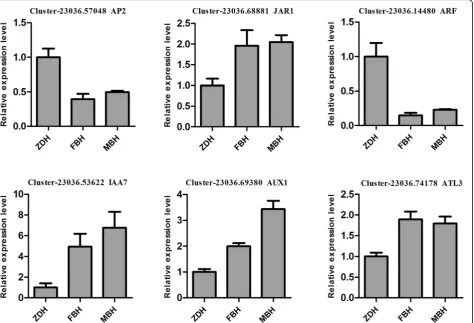 Fig. 5 qPCR analysis of selected DEGs. Data represent the means ± SD, n = 3 independent experiments