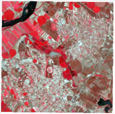 Figure 7. Landsat image from the study area
