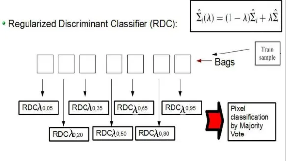 Figure 10. Regularized Discriminant Classifier (RDC) diagram.