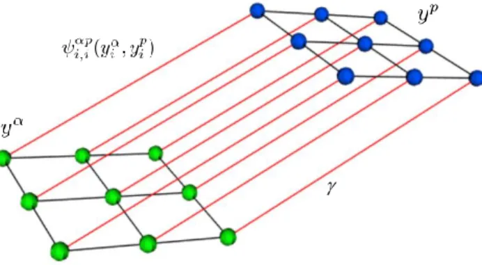 Figure 1. The graph representation of MRFL. Green nodes denote the random variables associated with y α , blue nodes denote the random variables associated with y p 
