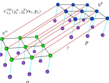 Figure 2. Graph representation of CRFL. The purple nodes denote random variables associated with the observed data, the green nodes denote random variables associated with the labels y α , blue nodes denote random variables associated with the labels y p 
