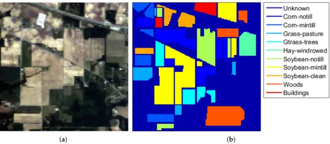 Figure 4. Indian Pines: (a) RGB image; (b) ground reference map.