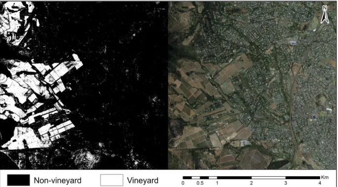 Figure 3.2: Random forest classification result (a) performed on the LiDAR dataset resampled to 1.5 m and  generalised using a 5x5-window size compared to (b) an aerial photograph of the same area 