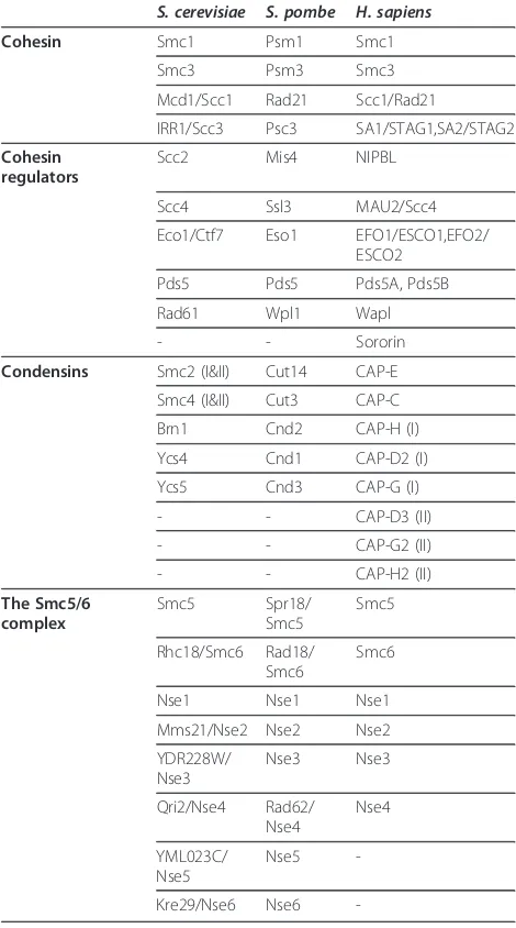 Table 1 Components of the Smc complexes andregulatory proteins in different organisms