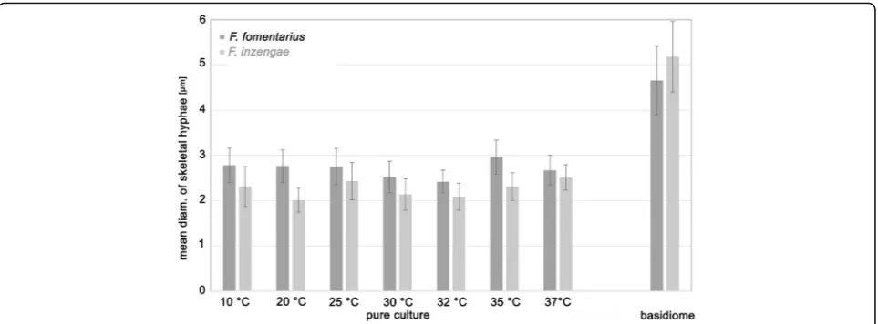 Fig. 5 Diameter of skeletal hyphae in pure culture after 10 d incubation on 3% MEA at different temperatures and in naturally grown basidiomes.Differences between F