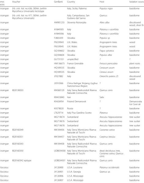 Table 1 Fomes sequences included in the phylogenetic analysis with information on the species identification, the newlysequenced voucher, the GenBank Accession number, and available information on geographic provenance as well as on host plantand isolation