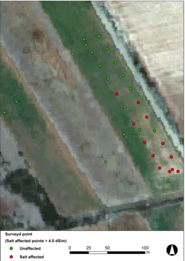Figure 3.2 Surveyed points of the grid-based sampling approach. The adjacent field consists similarly of lucerne and  orthic Kimberly soil 