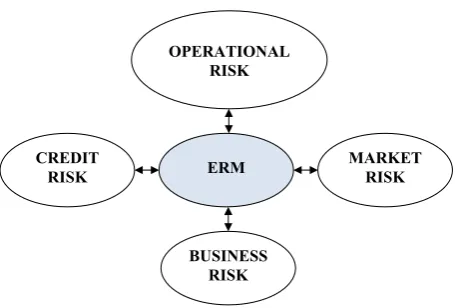 Figure 1. Enterprise risk Management schema in a finan-cial institution