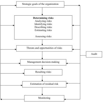 Figure 2. Basic elements of the Enterprise risk Management process