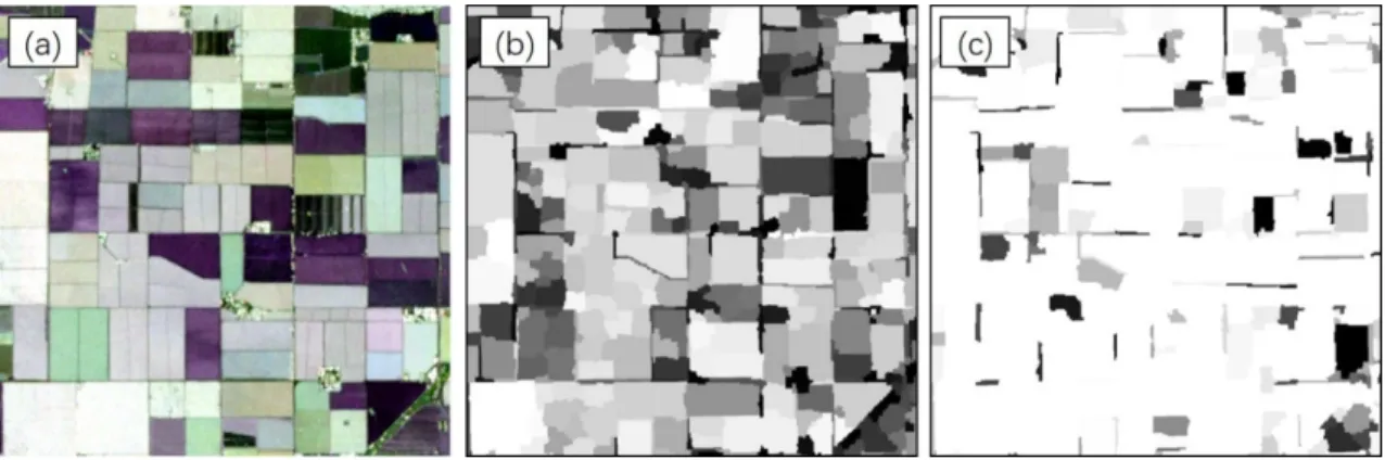 Figure 3. (a) A subset of the UAVSAR image (bands VV, HV and HH) used in this paper, (b) the  prediction probability generated by the OSVM model, (c) the prediction probability achieved by the  OCNN model
