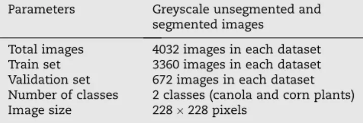 Fig. 7 – Greyscale unsegmented (a) and segmented (b) plant images at three different growth stages of canola and corn plants.