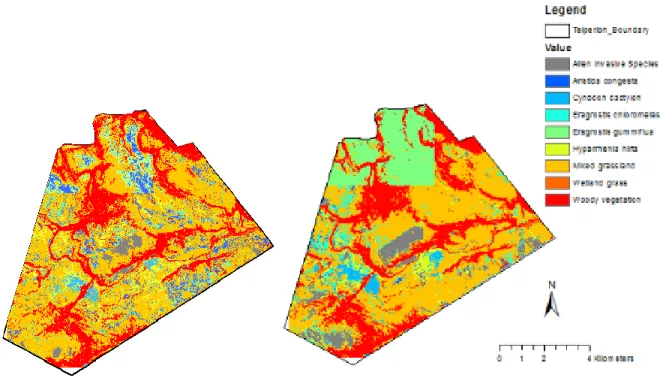 Figure 8: Vegetation mapping classification using RF (a) and SVM  (b) classification algorithm  for imbalanced training data
