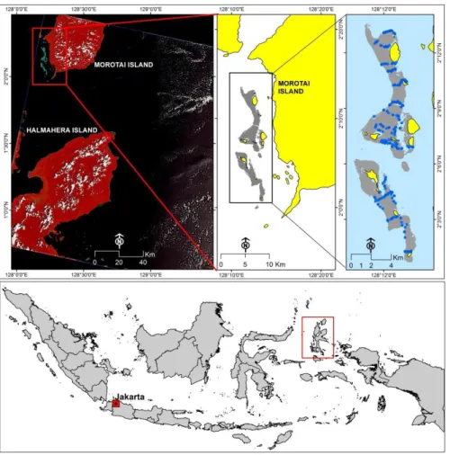Fig. 1. Research location and Landsat 8 image scene. Blue dots  on the above right map indicated field observation points 