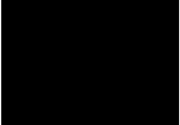Fig. 1. Family of analytical functions. (1) Function 1; (2) function 19. 
