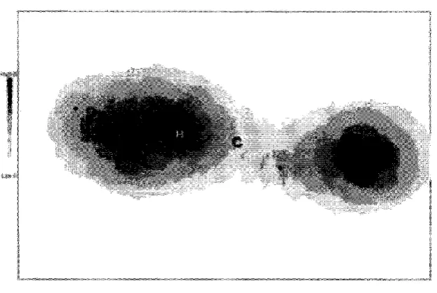 Fig. 5. Prioritized search map. 